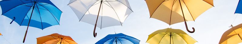 „Verantwortung übernehmen – Vertrauen zurückgewinnen" Das Bistum Fulda hat sich öffentlich zum Abschlussbericht der Unabhängigen Kommission zur Aufarbeitung sexualisierter Gewalt geäußert. Bischof Dr. Michael Gerber und die Bistumsleitung benennen Konsequenzen und stellen erste Schritte vor. Mehr dazu auf der Website des Bistums.